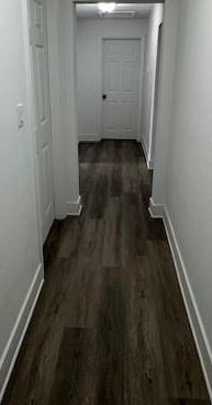 Photo #15