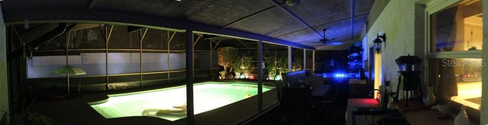 Photo #51