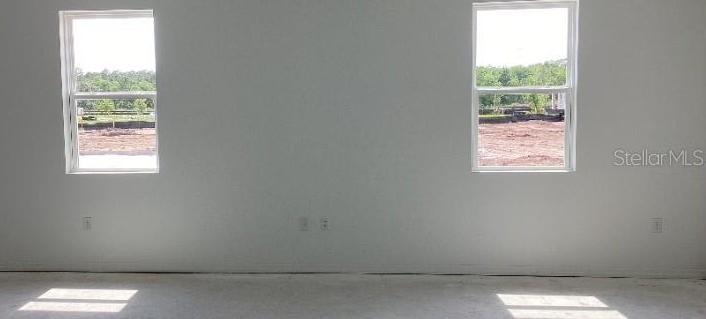 Photo #11