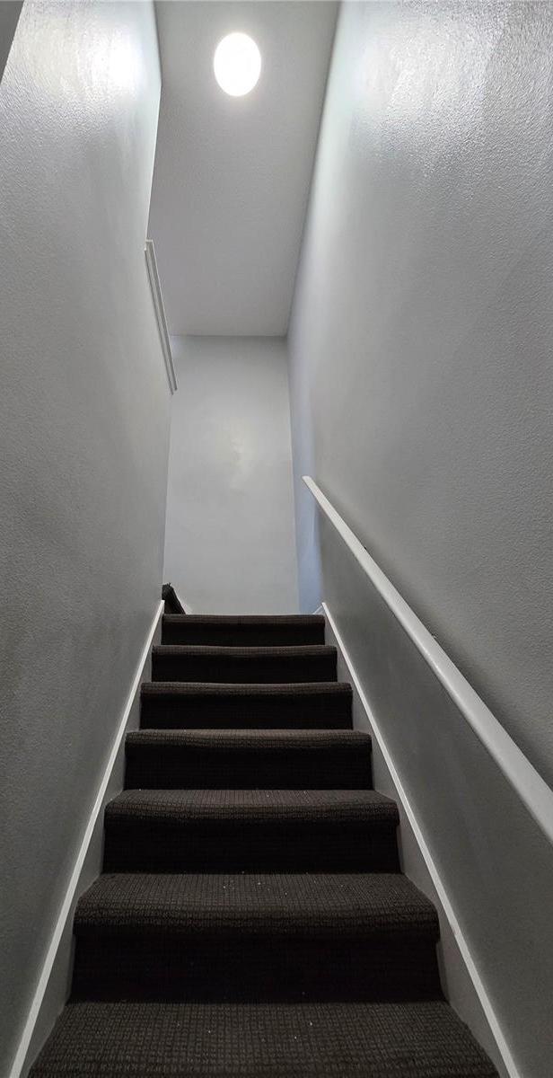 Photo #18