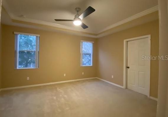 Photo #8