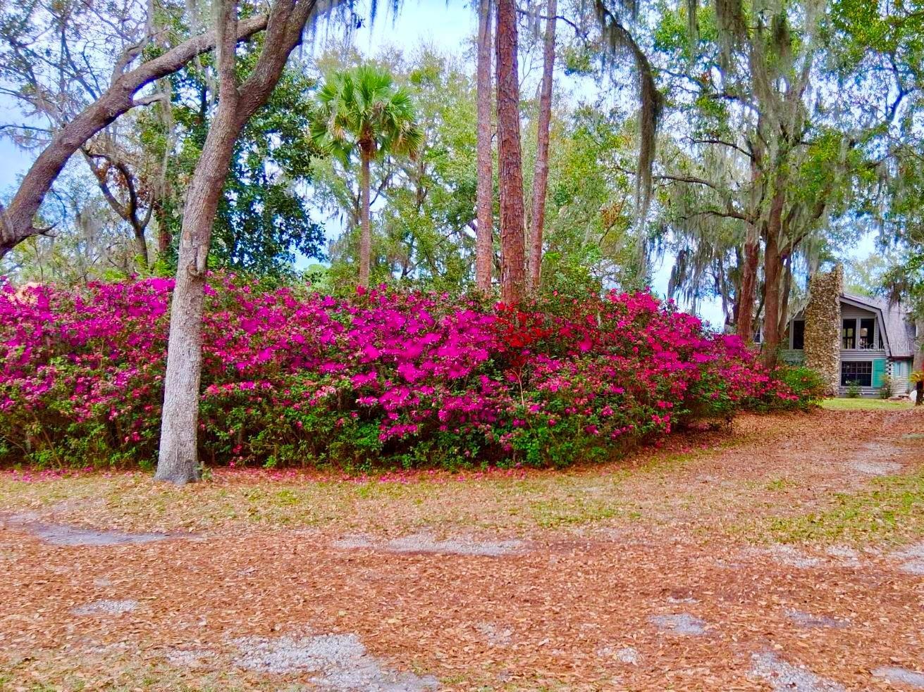 Photo #41