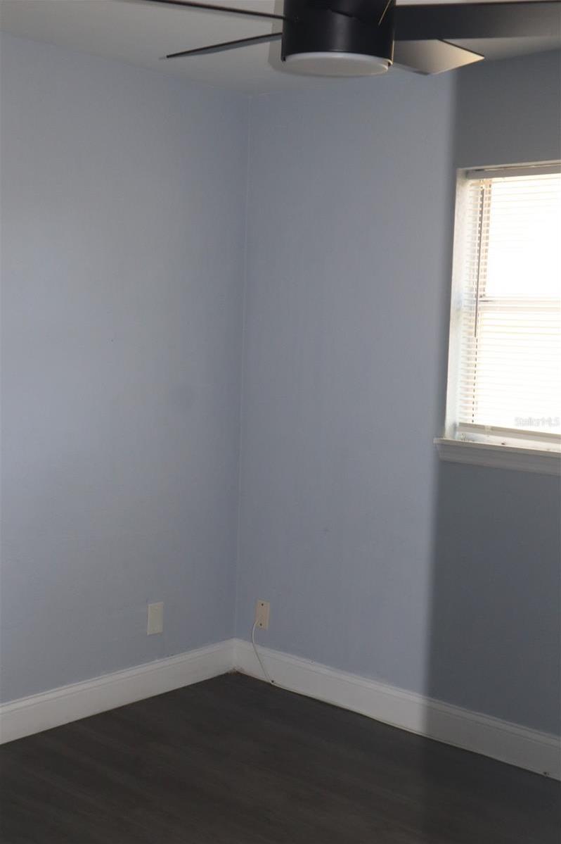 Photo #8