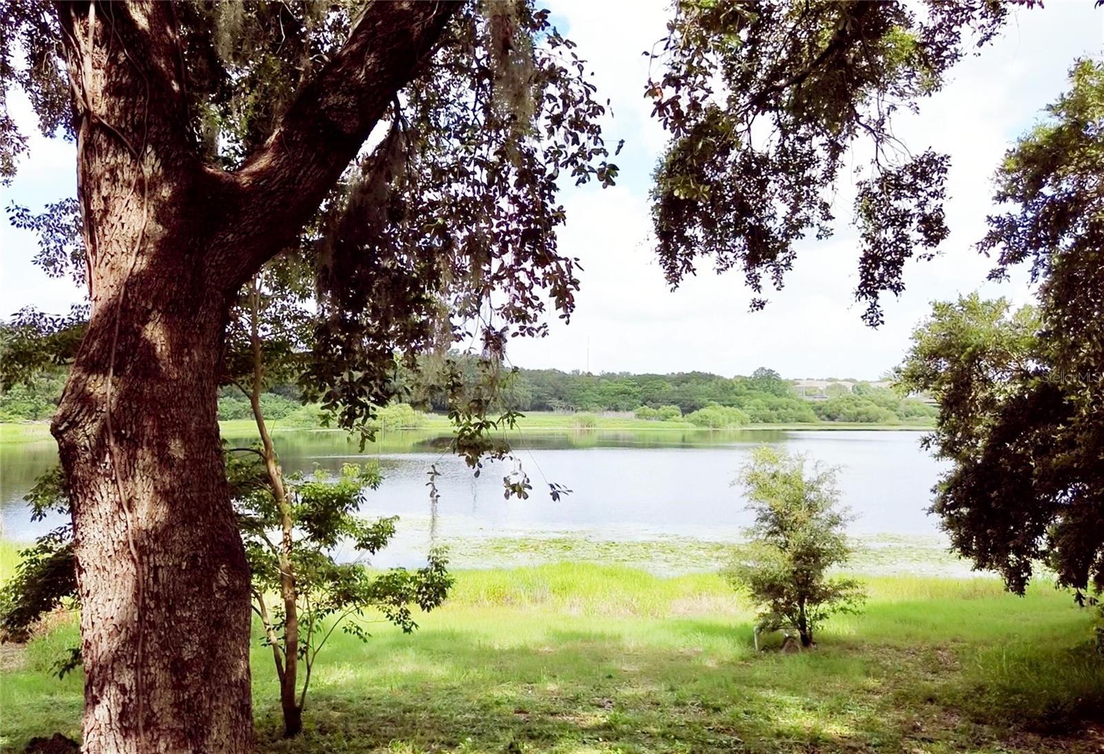 Photo #7