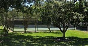 Photo #43