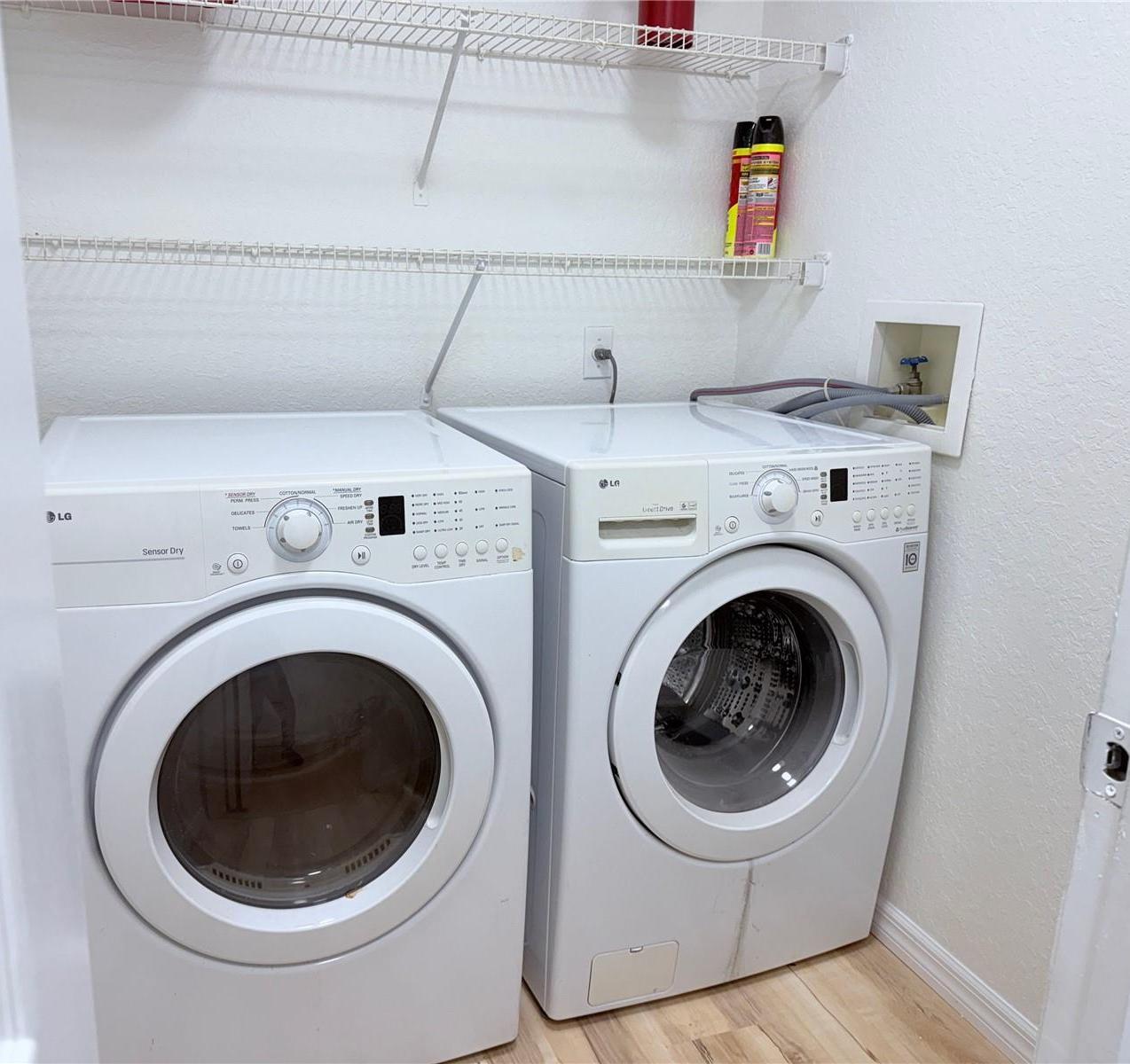 Photo #31