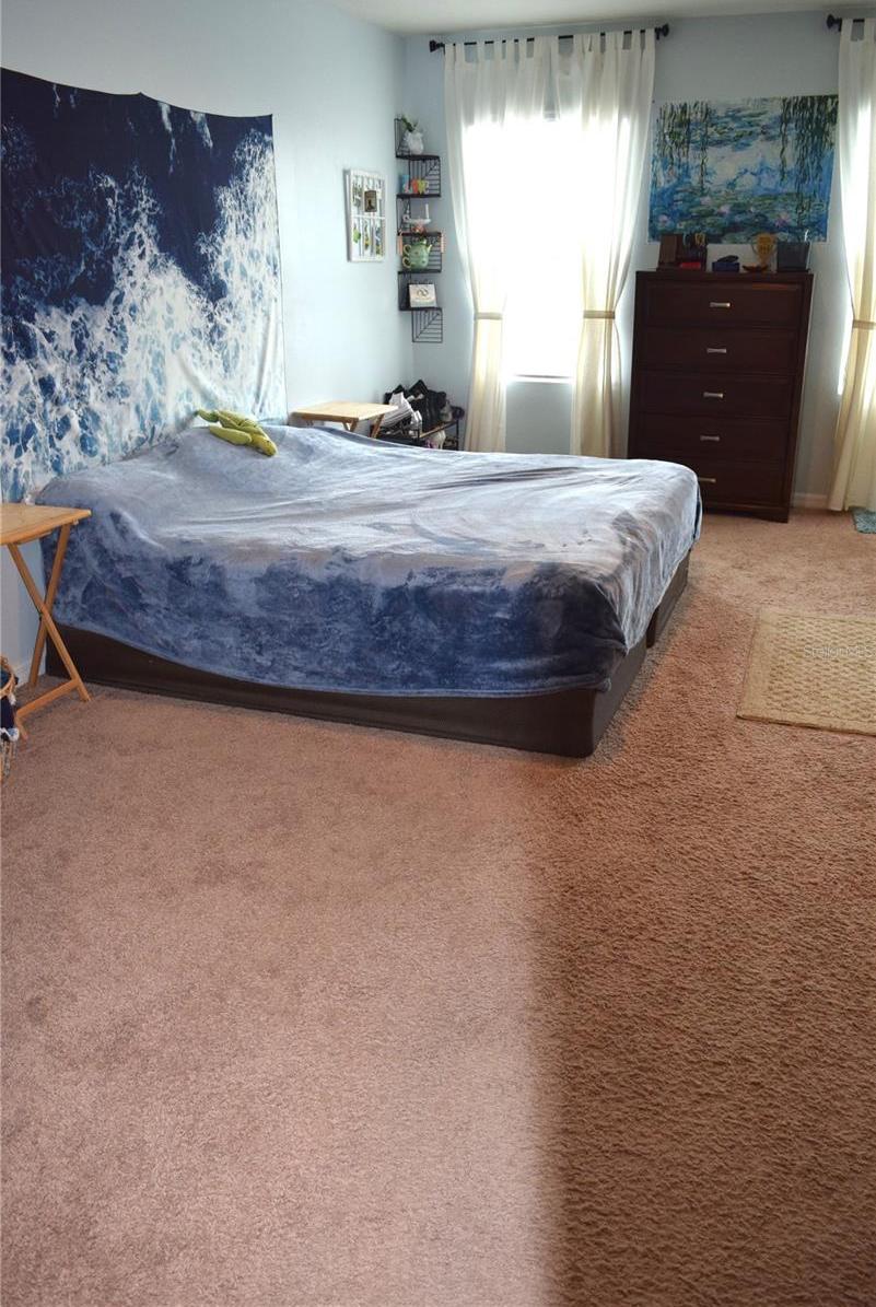 Photo #12