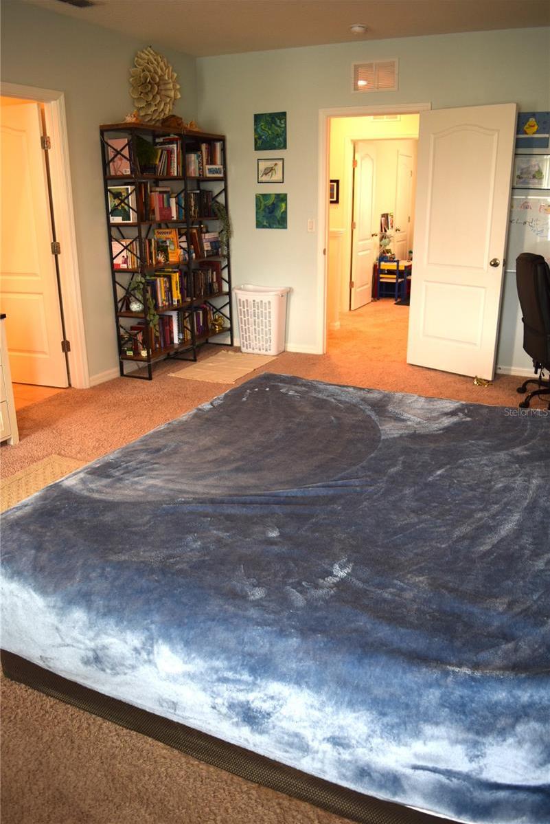 Photo #14