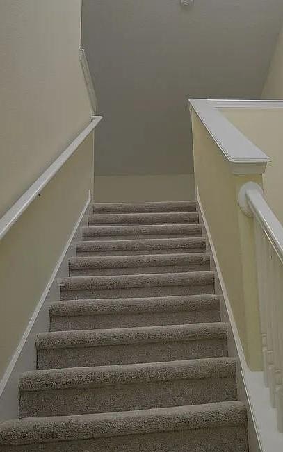 Photo #12