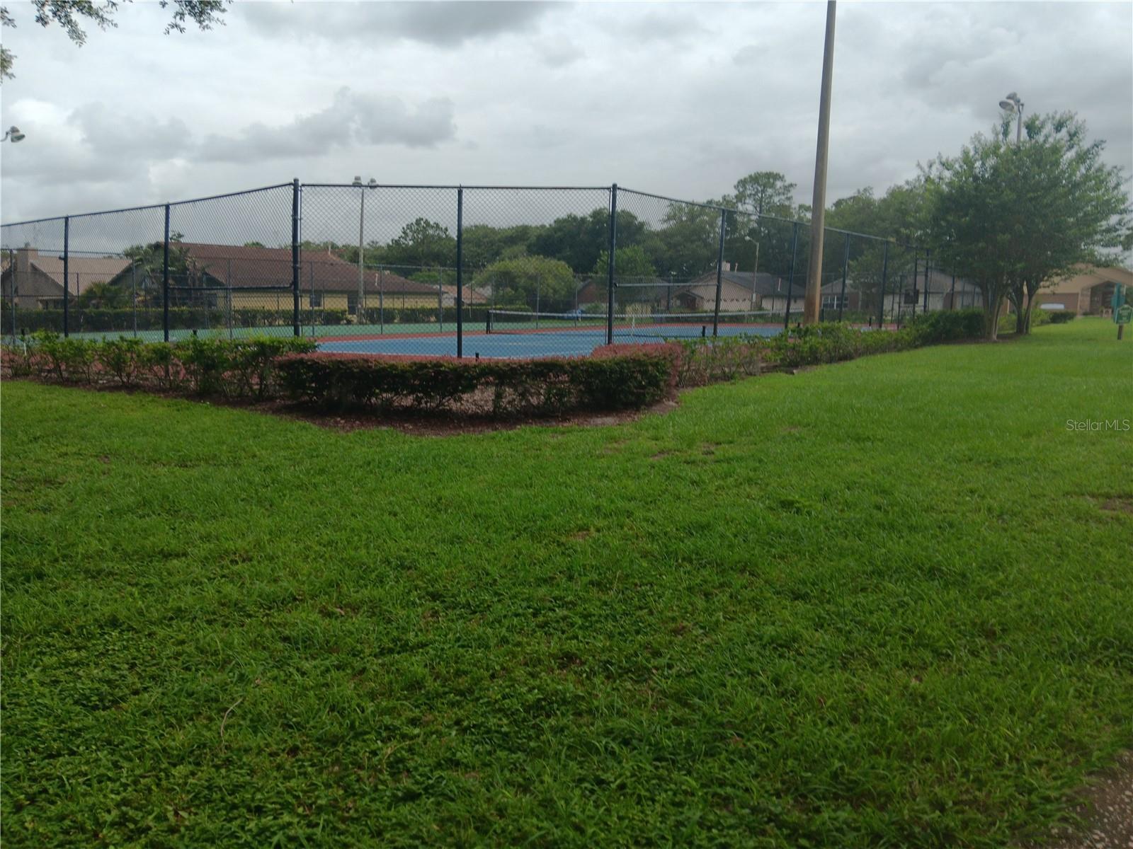 Photo #24