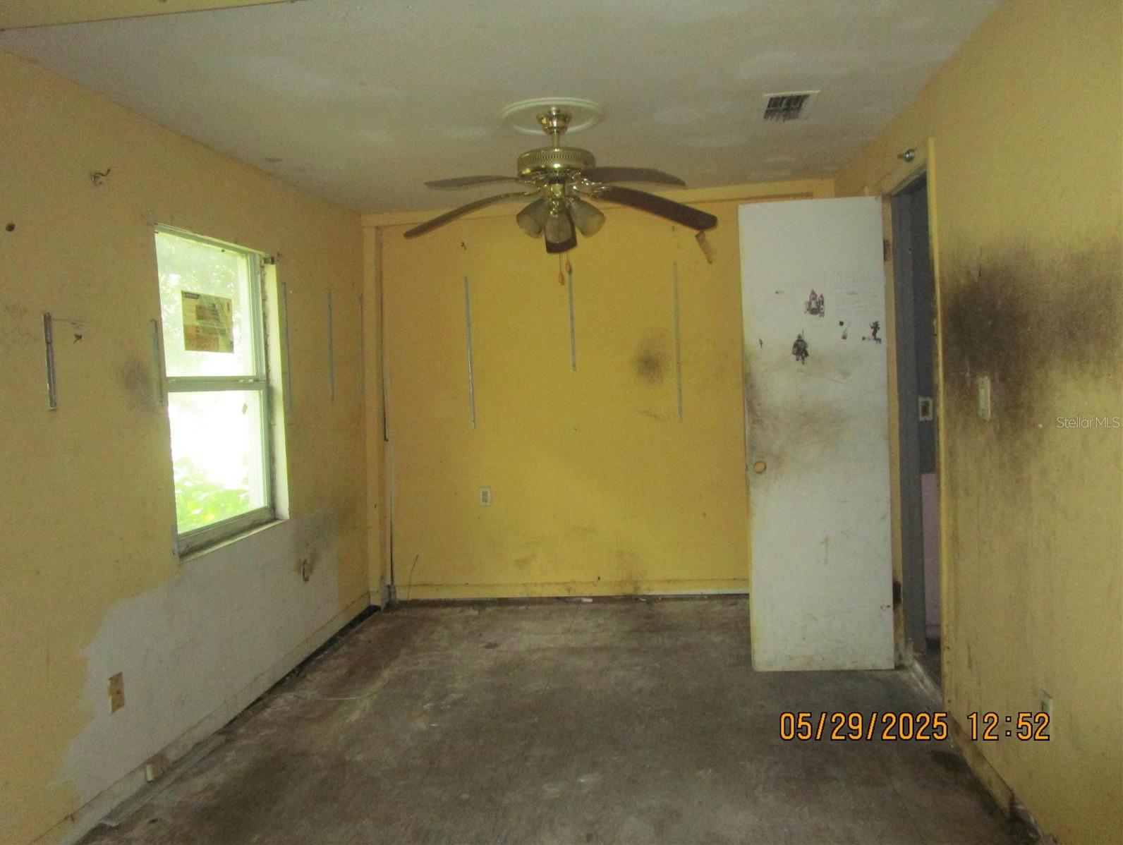 Photo #14