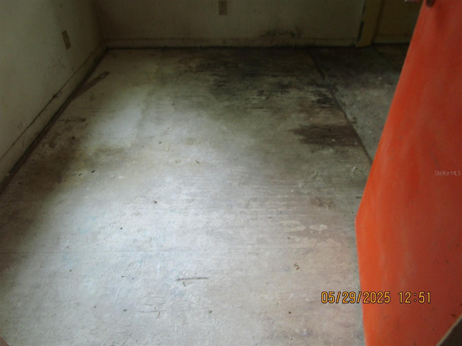 Photo #18