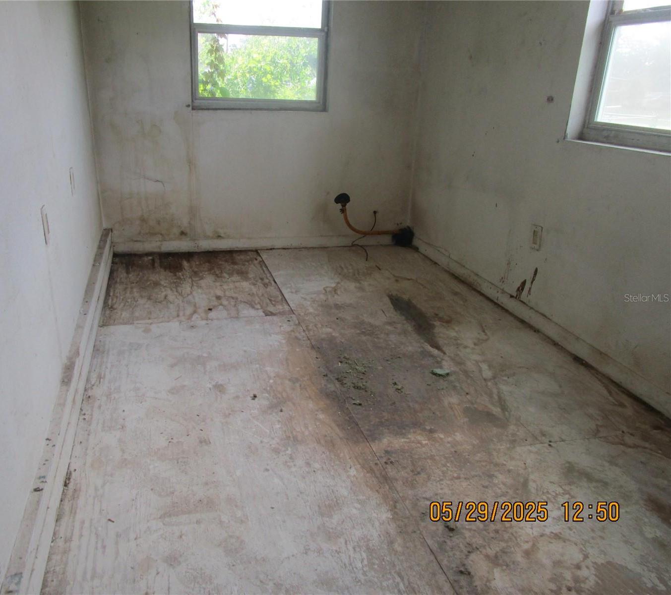 Photo #7
