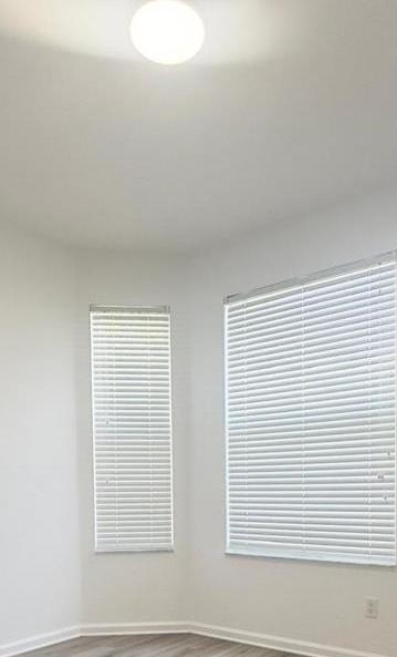 Photo #11