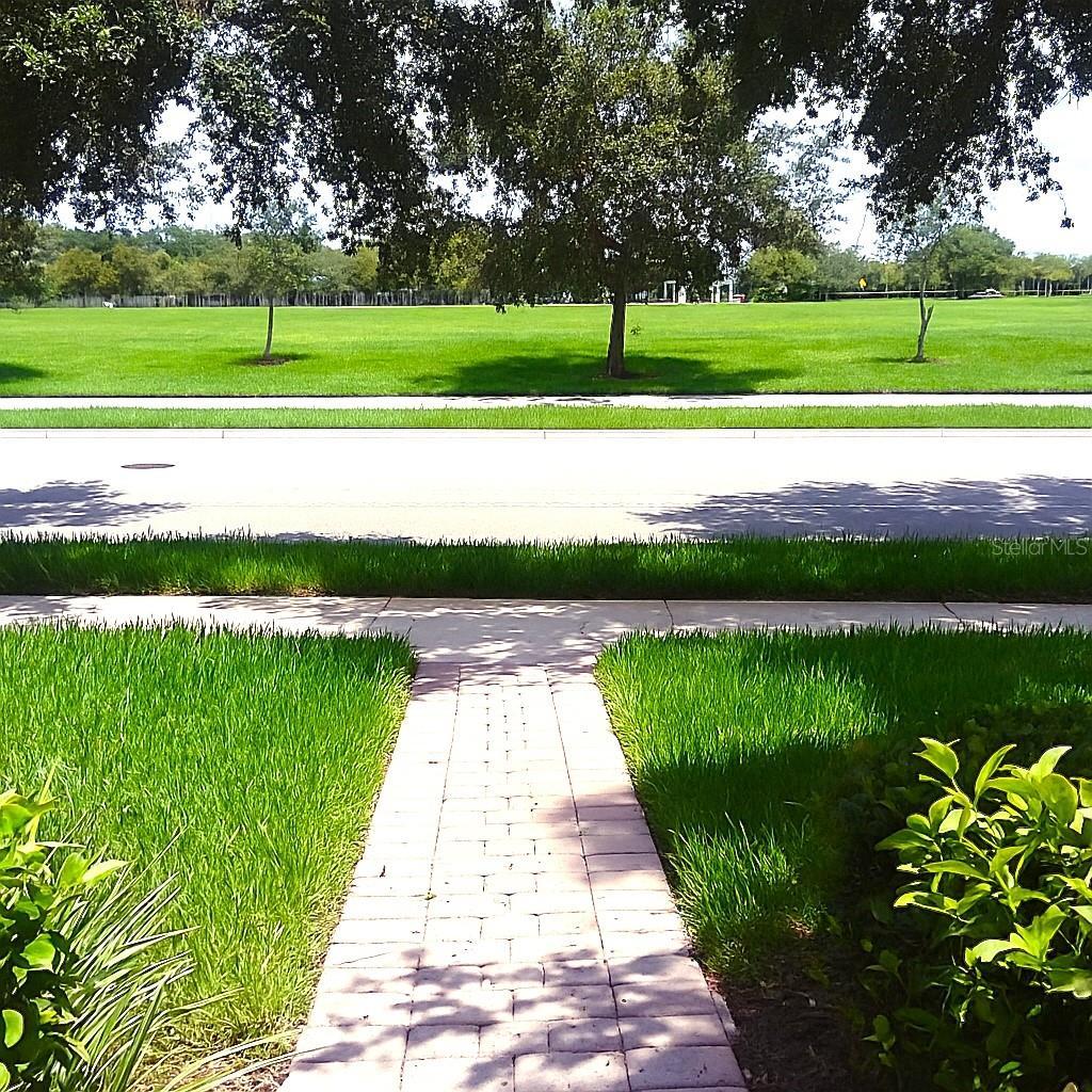 Photo #13