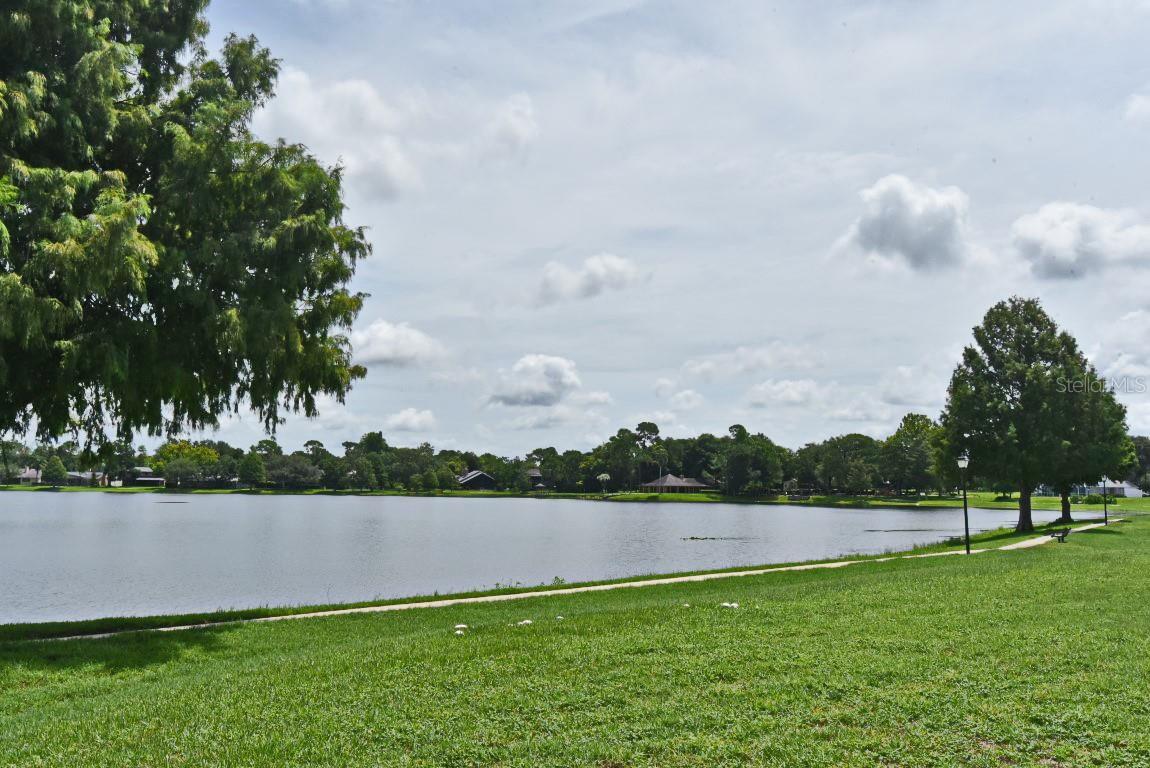 Photo #36