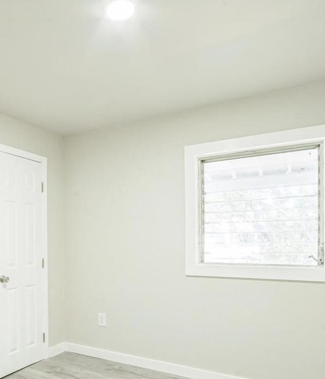 Photo #8
