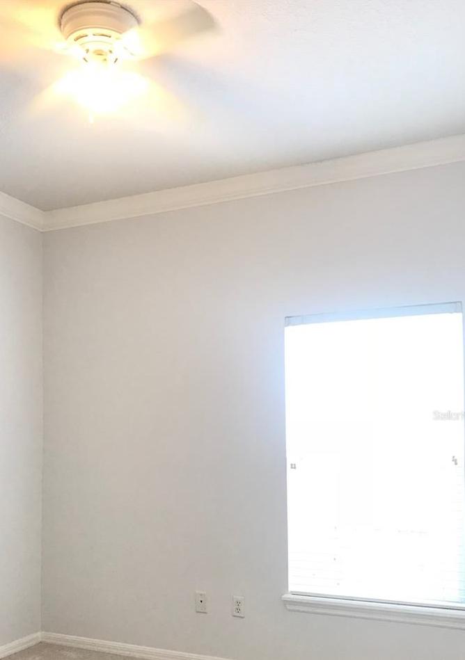 Photo #29