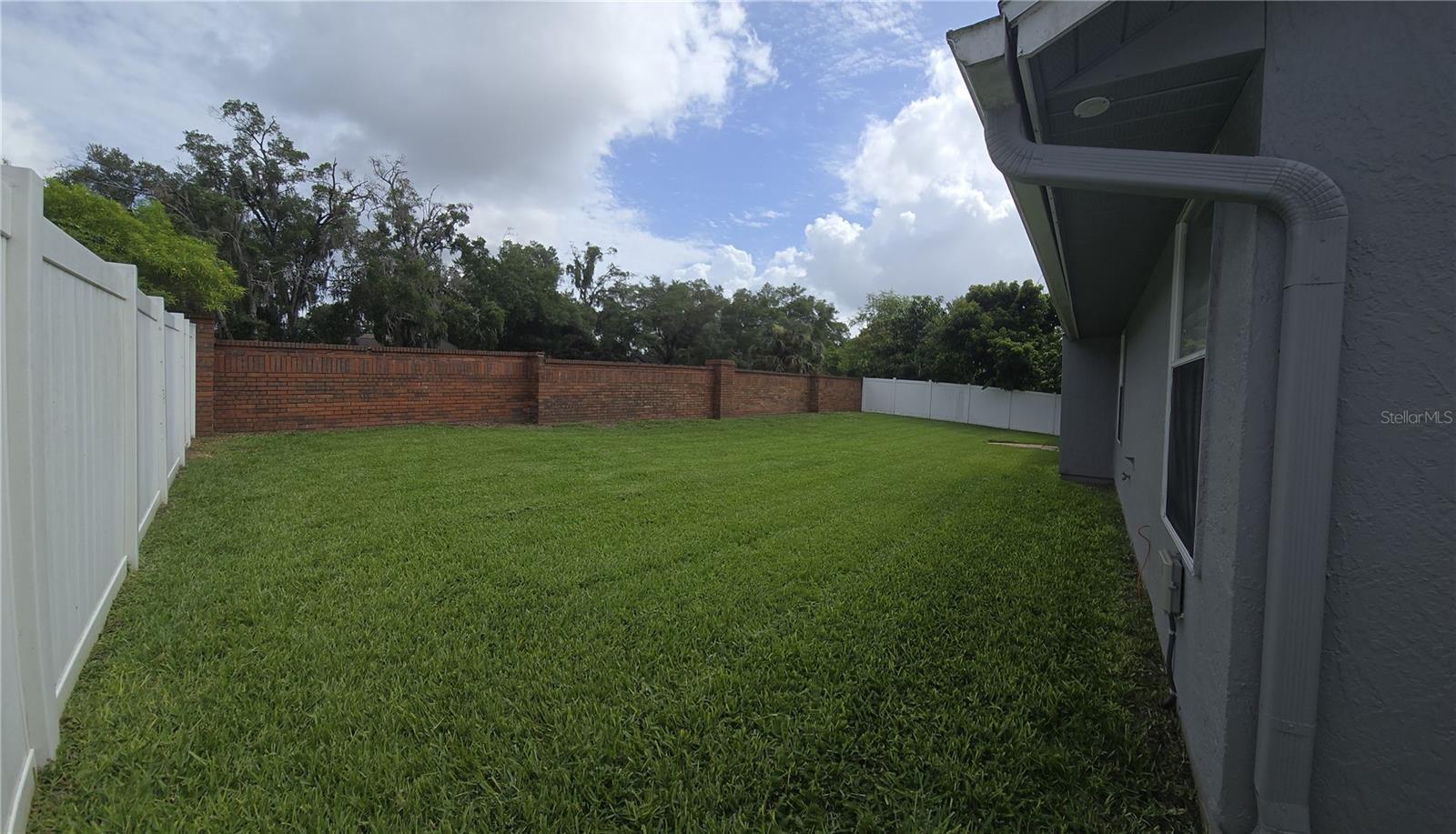 Photo #46