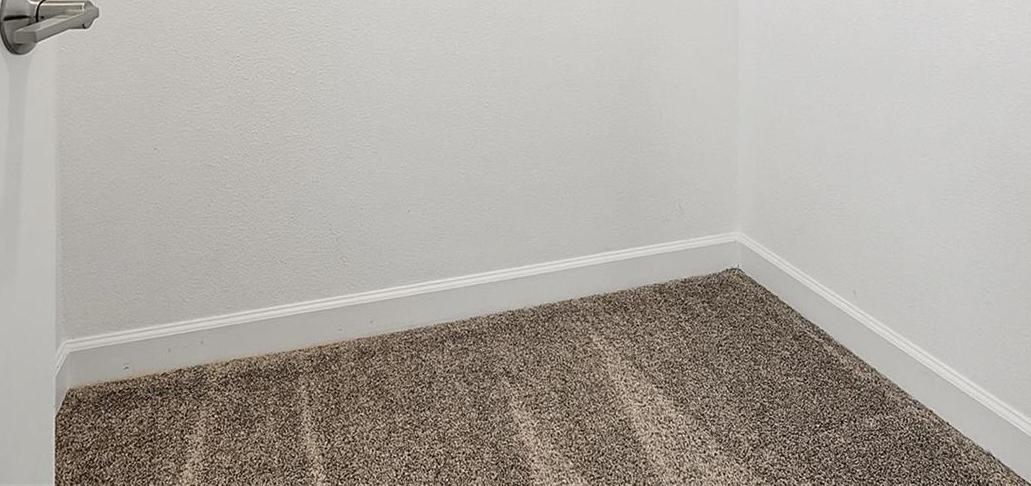 Photo #23
