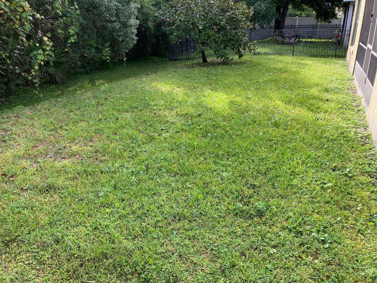Photo #6