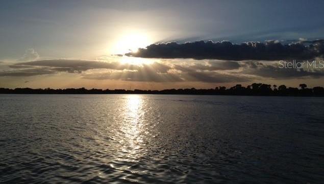 Photo #74
