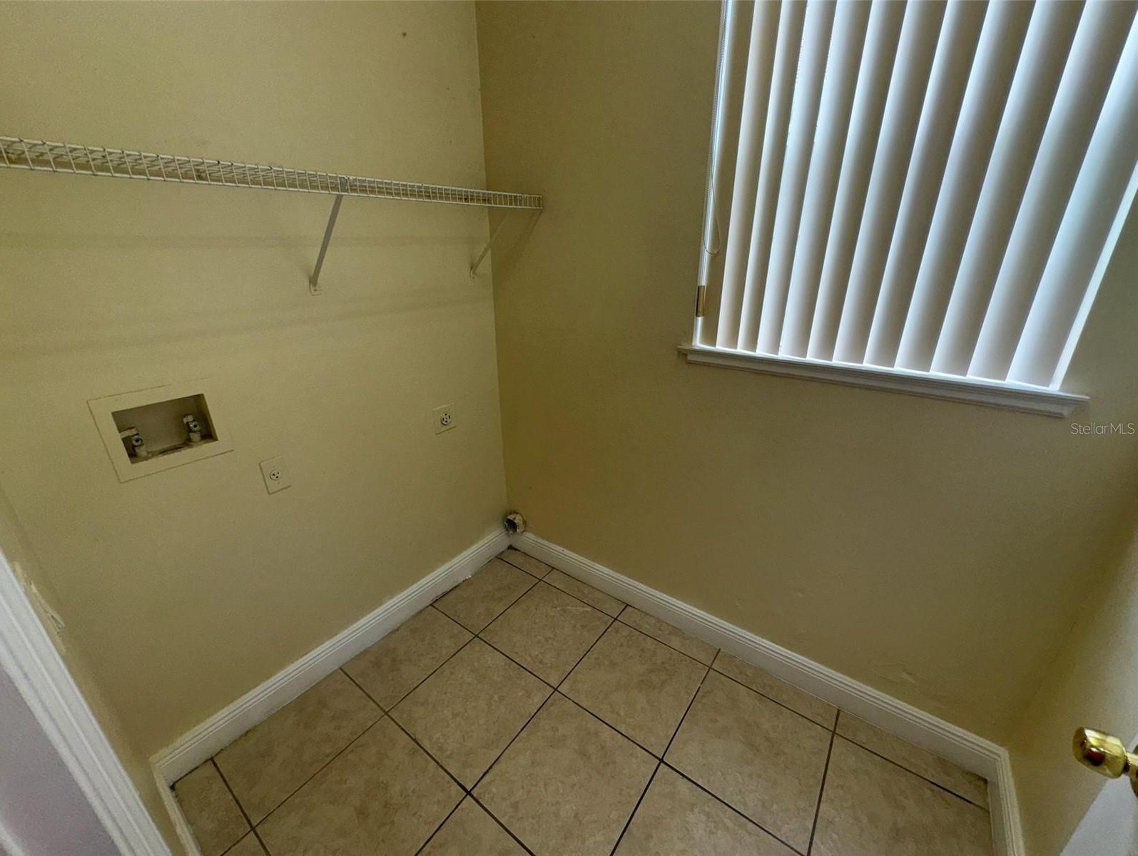 Photo #11