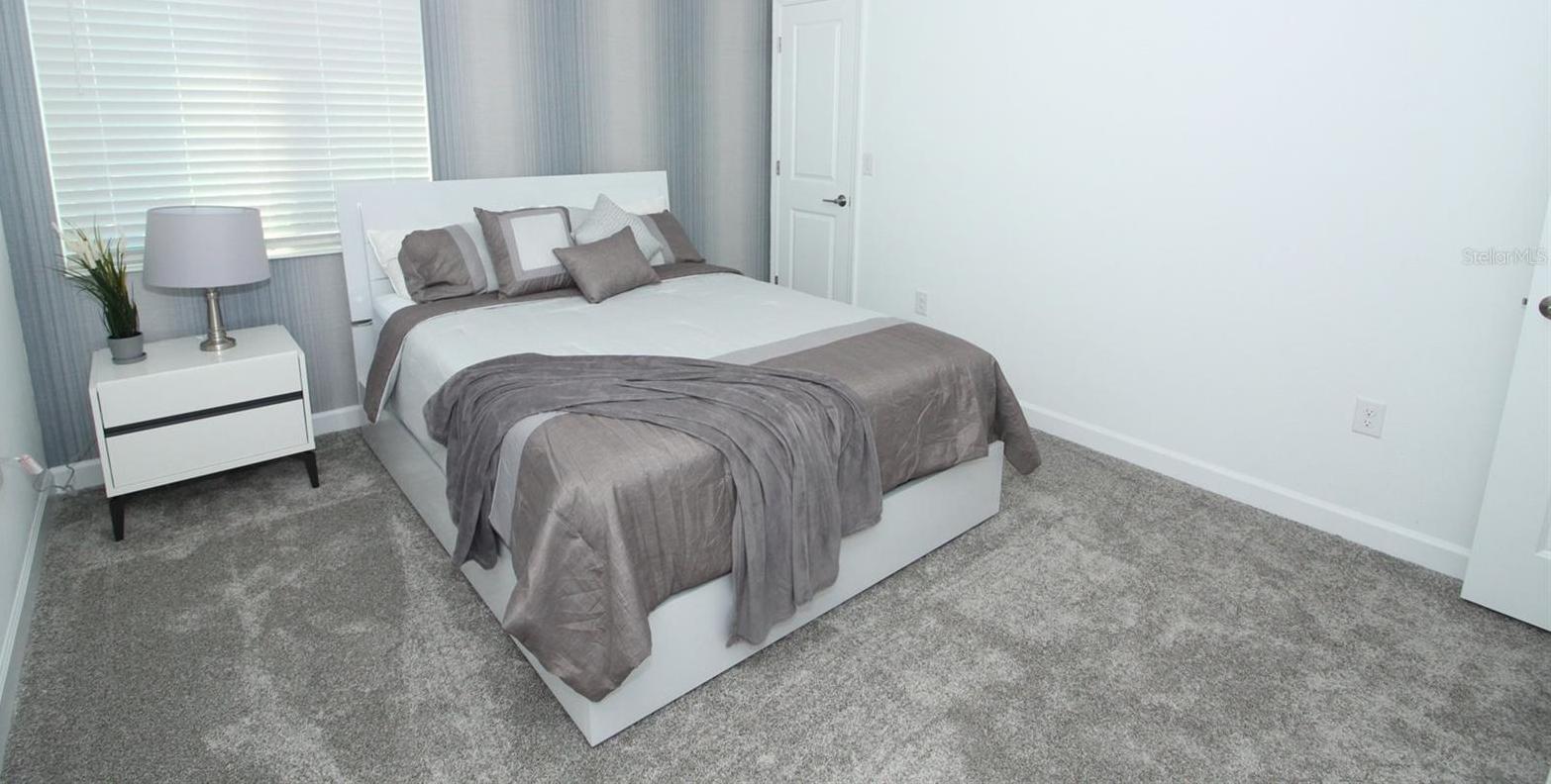 Photo #16
