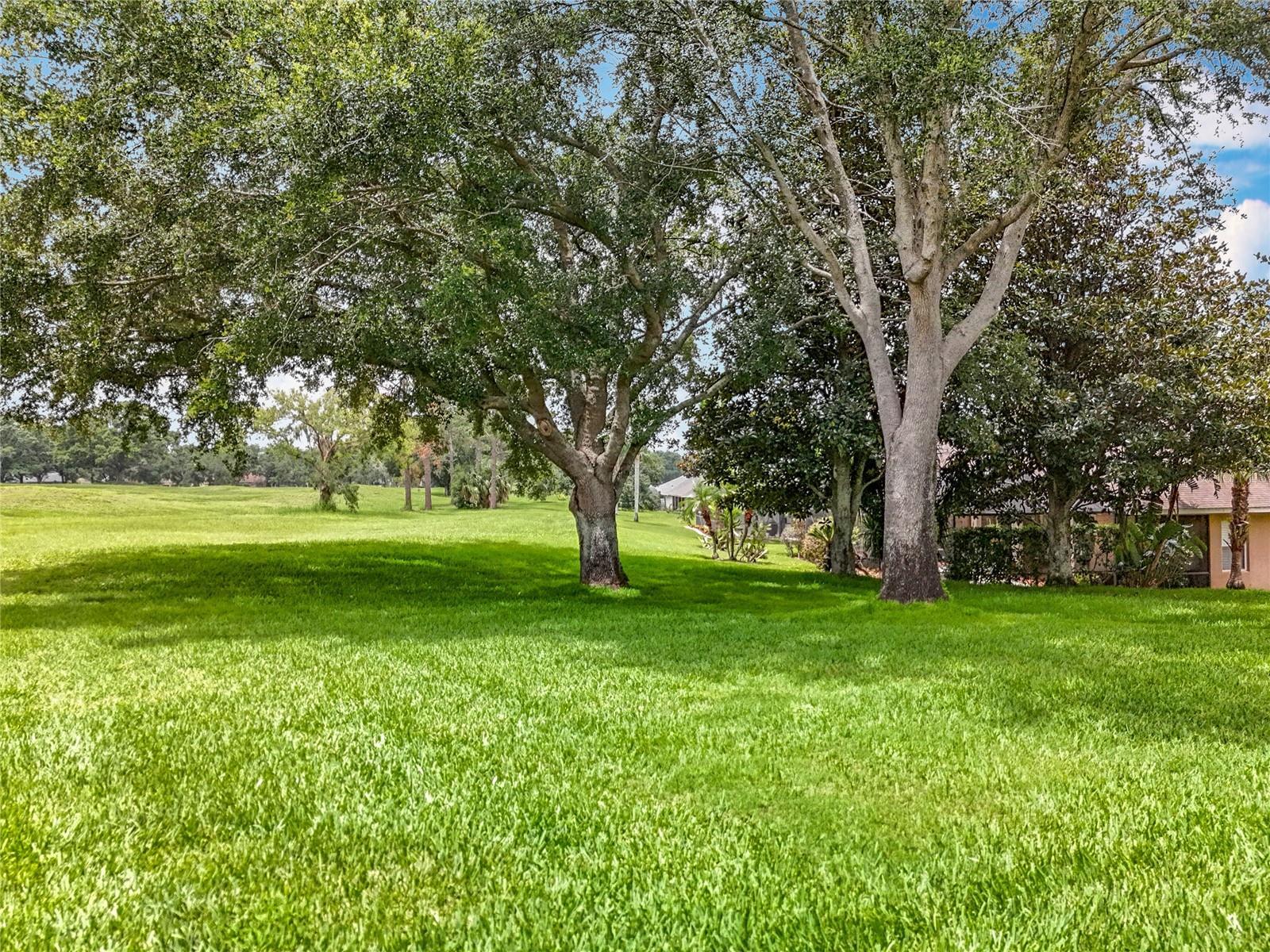 Photo #48