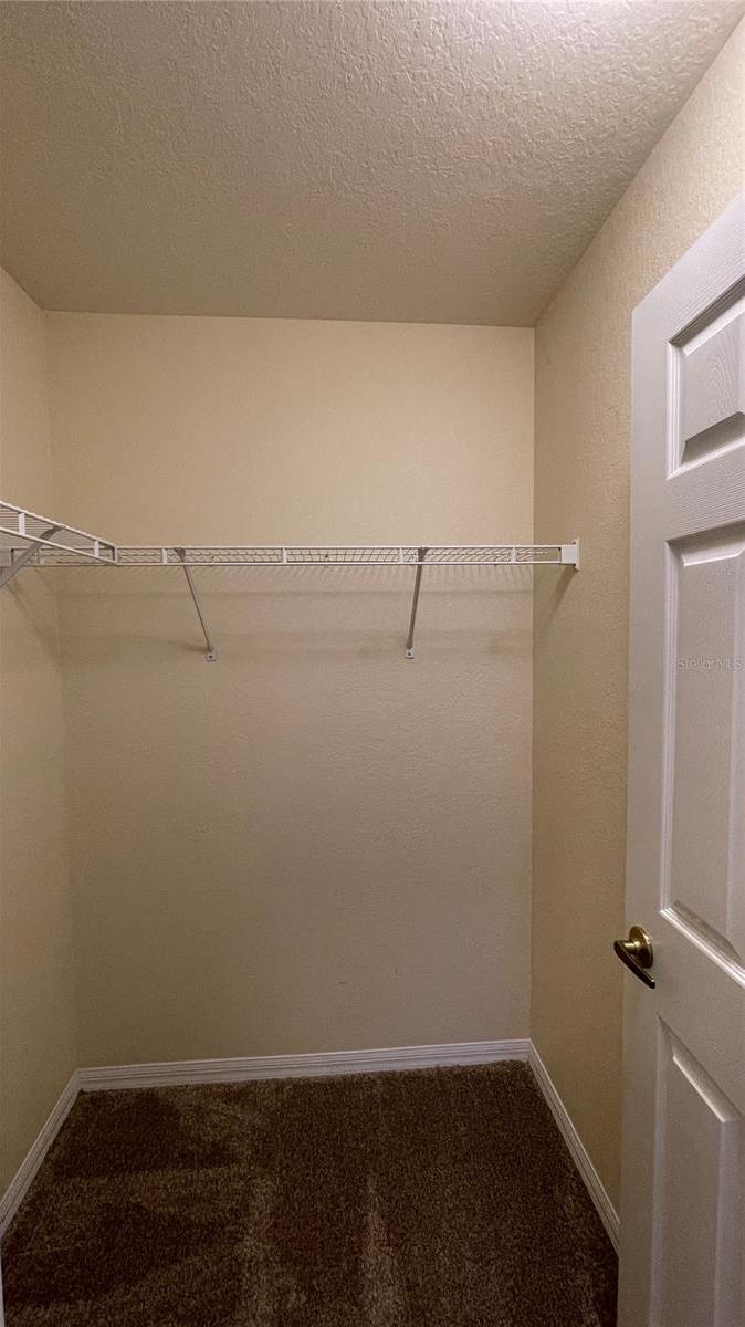 Photo #51