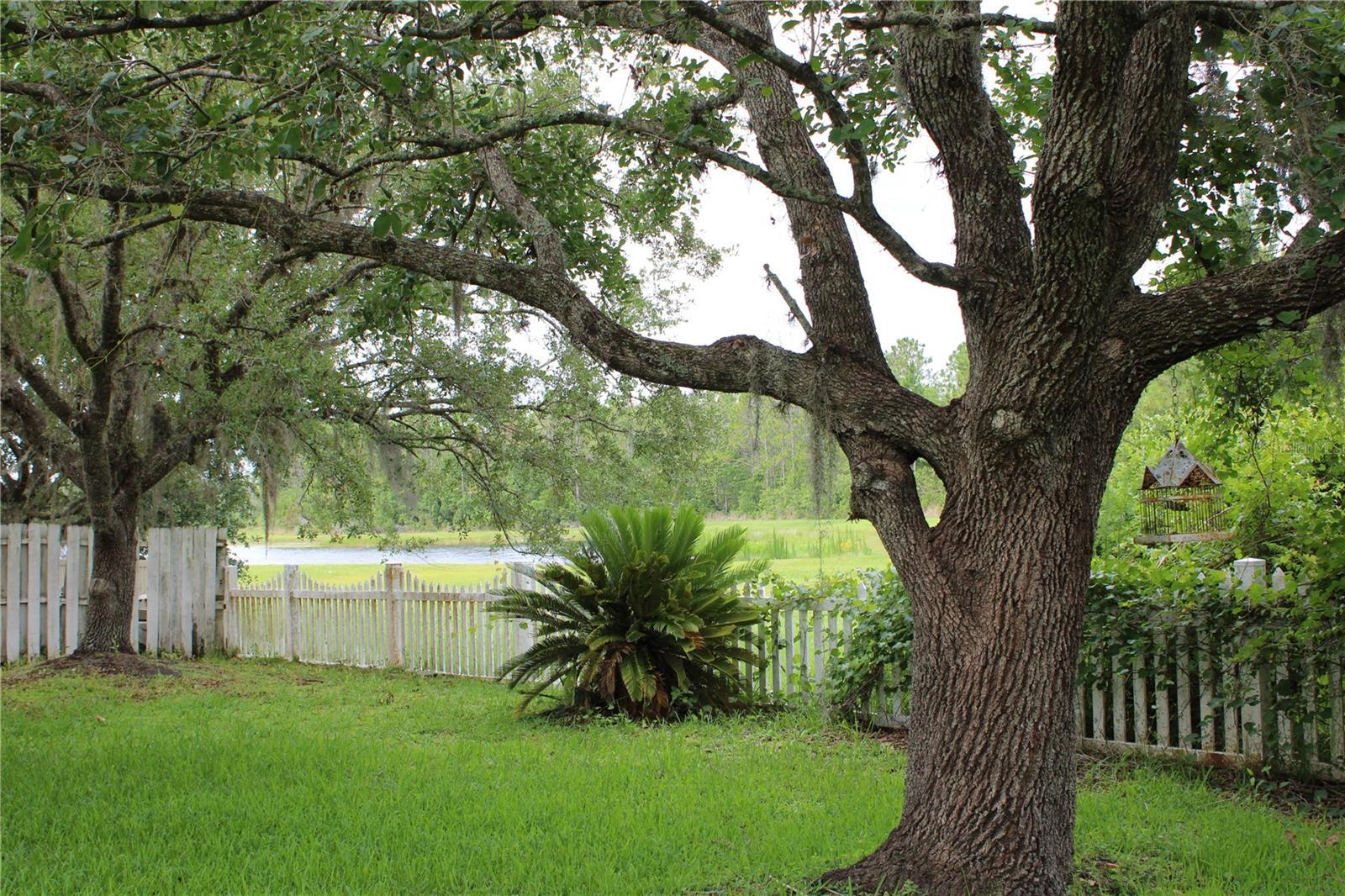 Photo #22