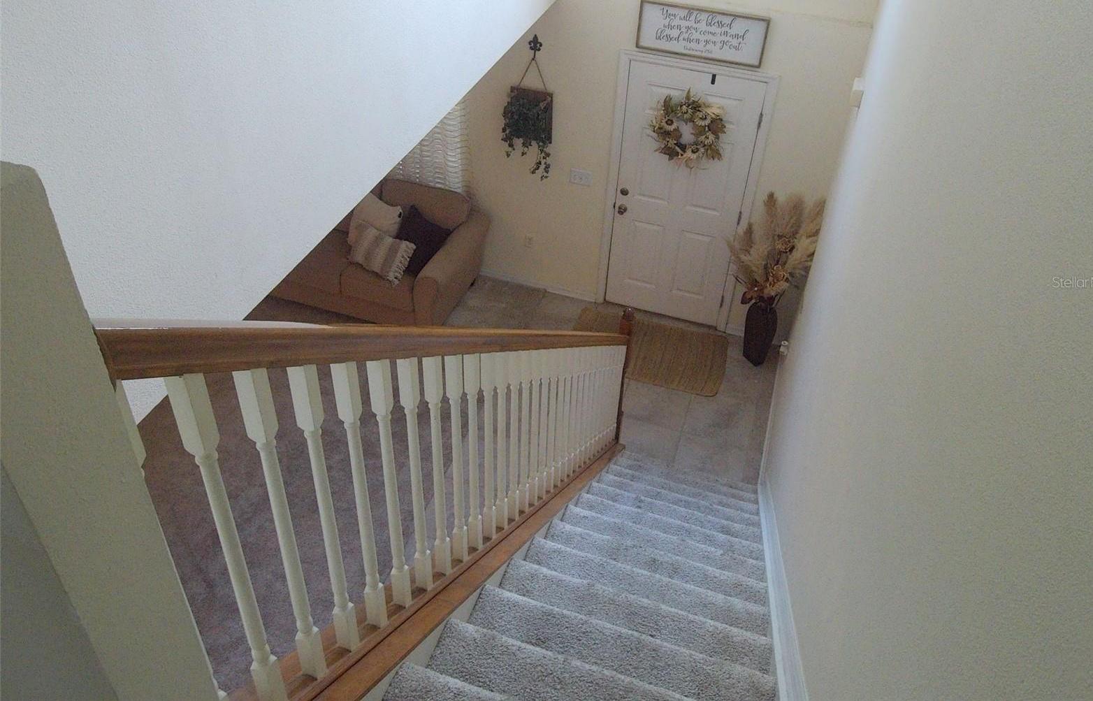Photo #12