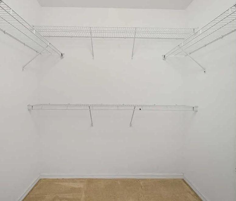 Photo #16