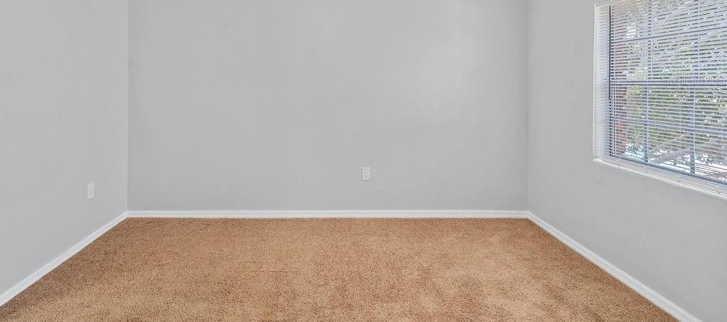 Photo #10