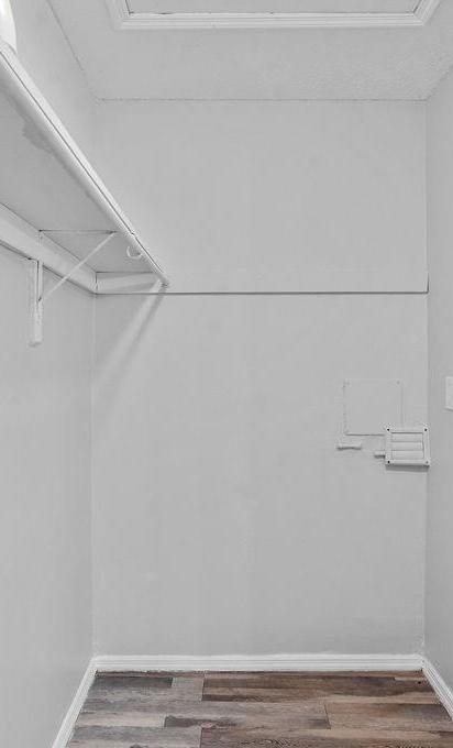 Photo #14