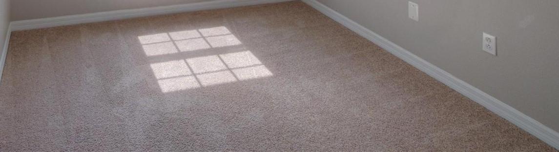 Photo #37