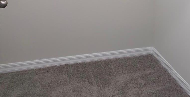 Photo #14