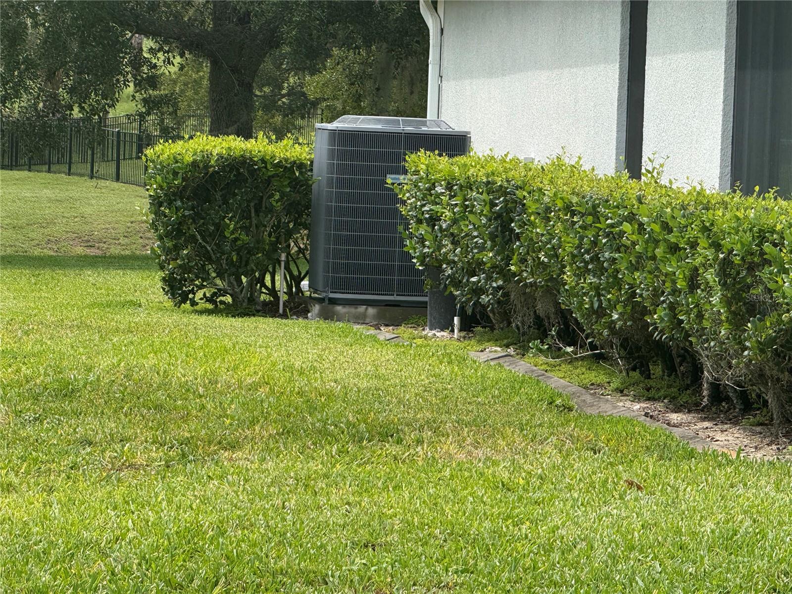 Photo #5