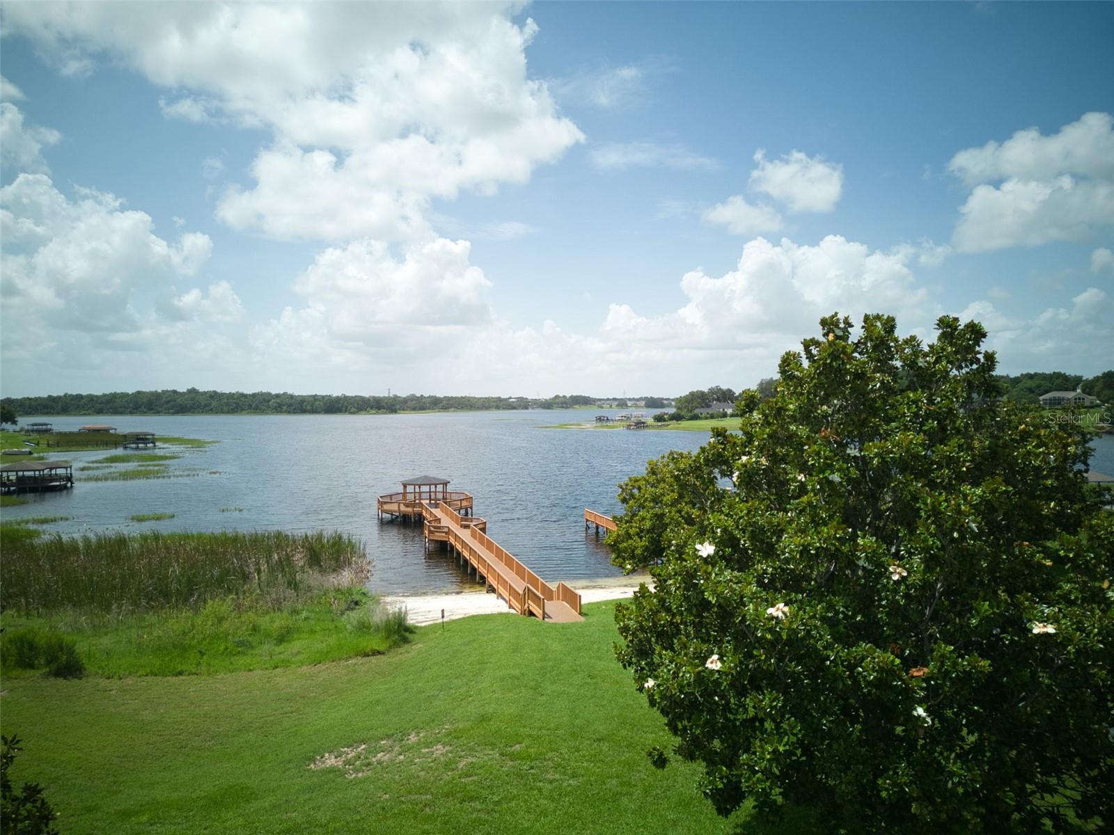 Photo #37