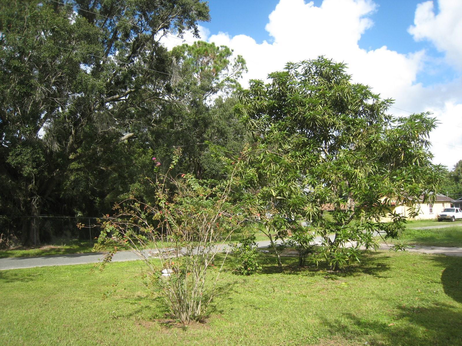 Photo #3
