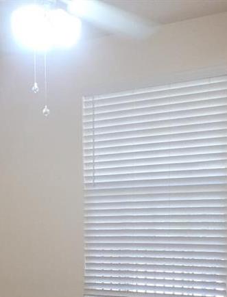 Photo #24