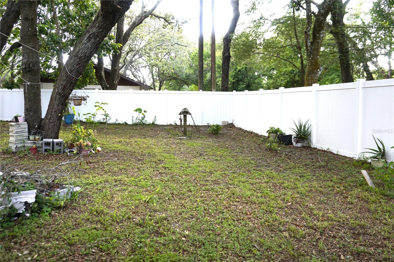 Photo #17