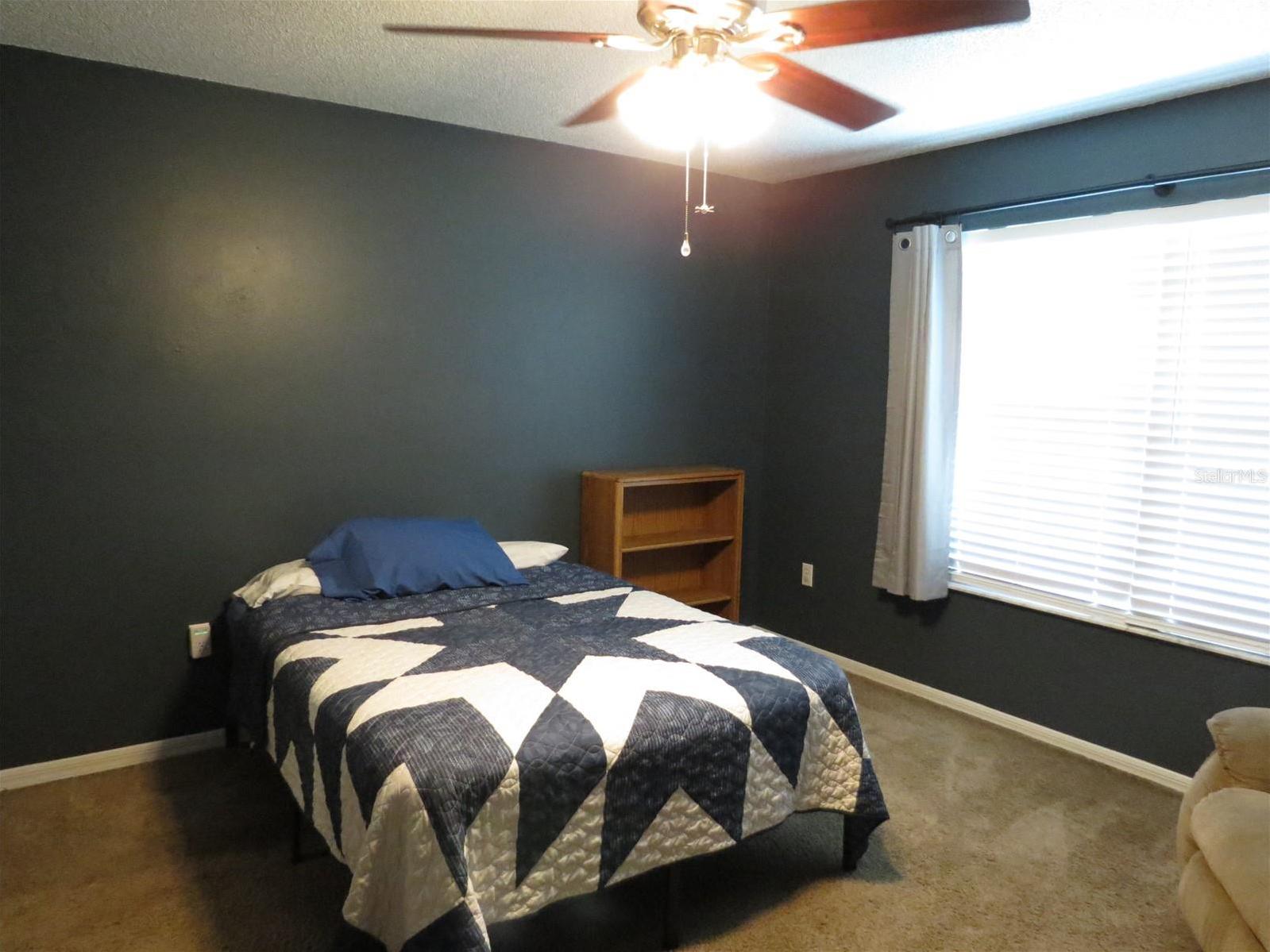 Photo #31