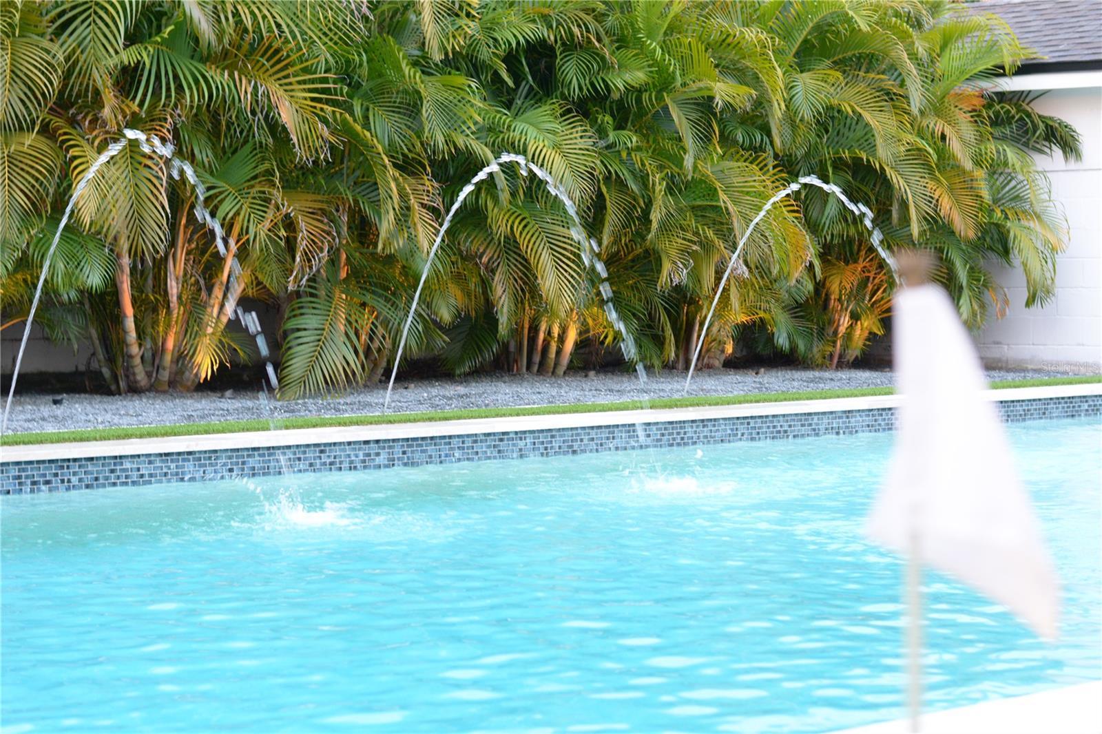Photo #23