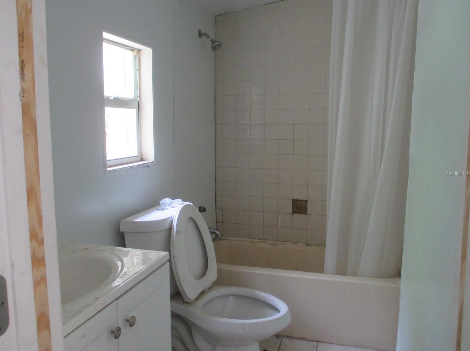 Photo #12