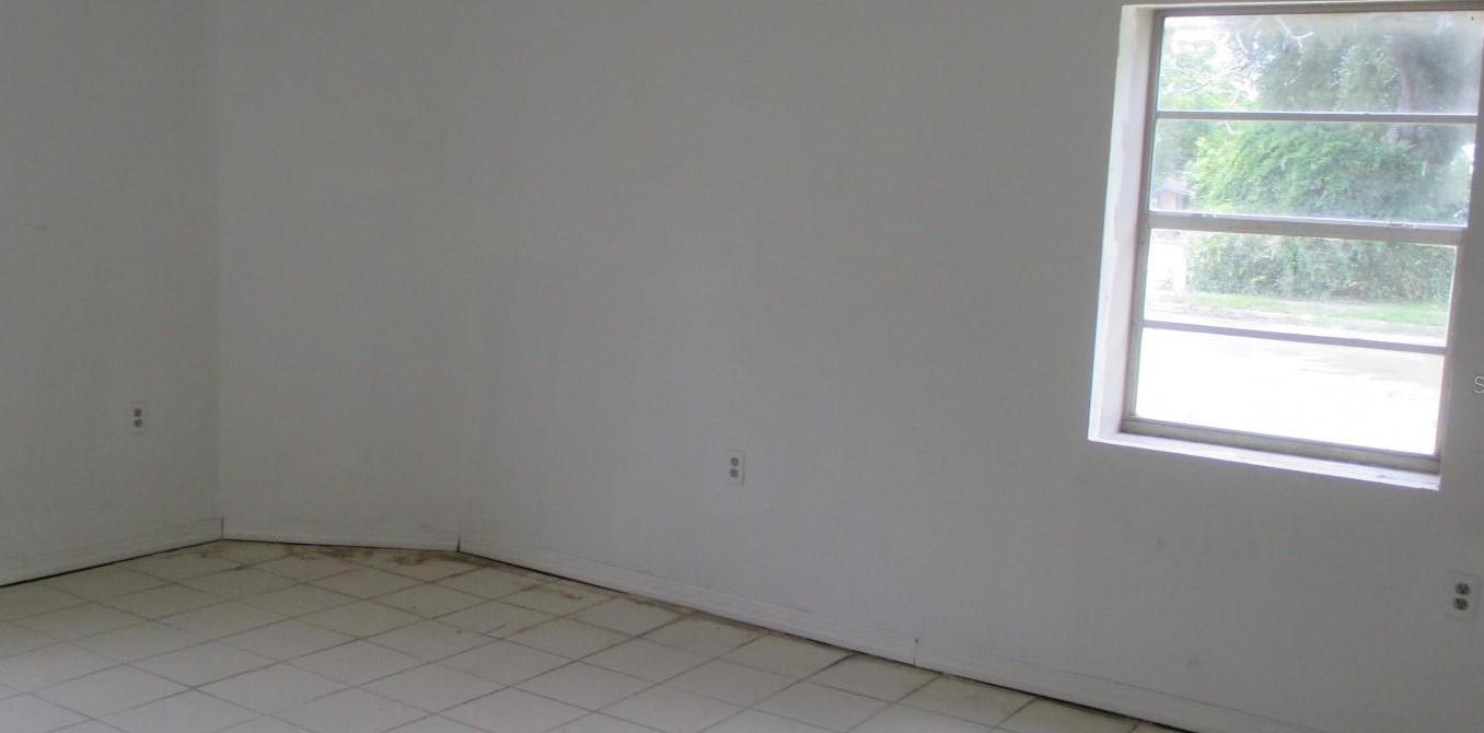 Photo #11