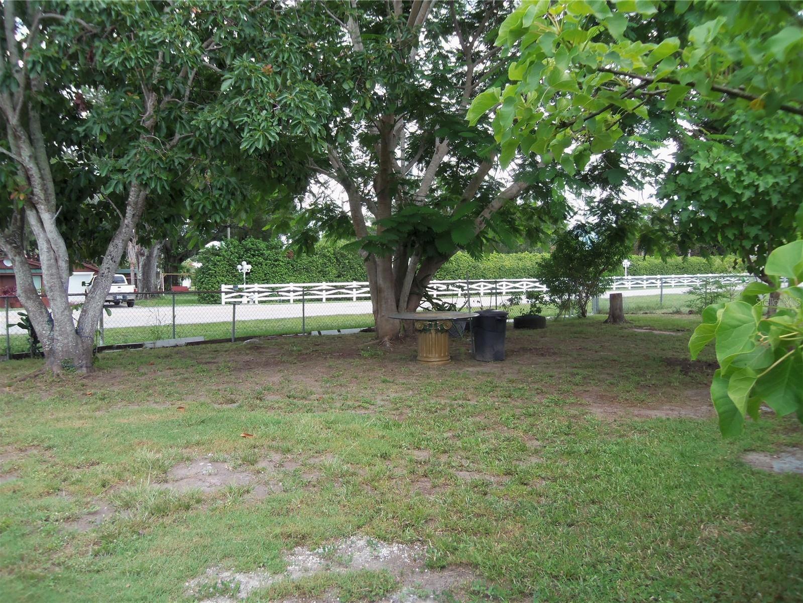 Photo #31