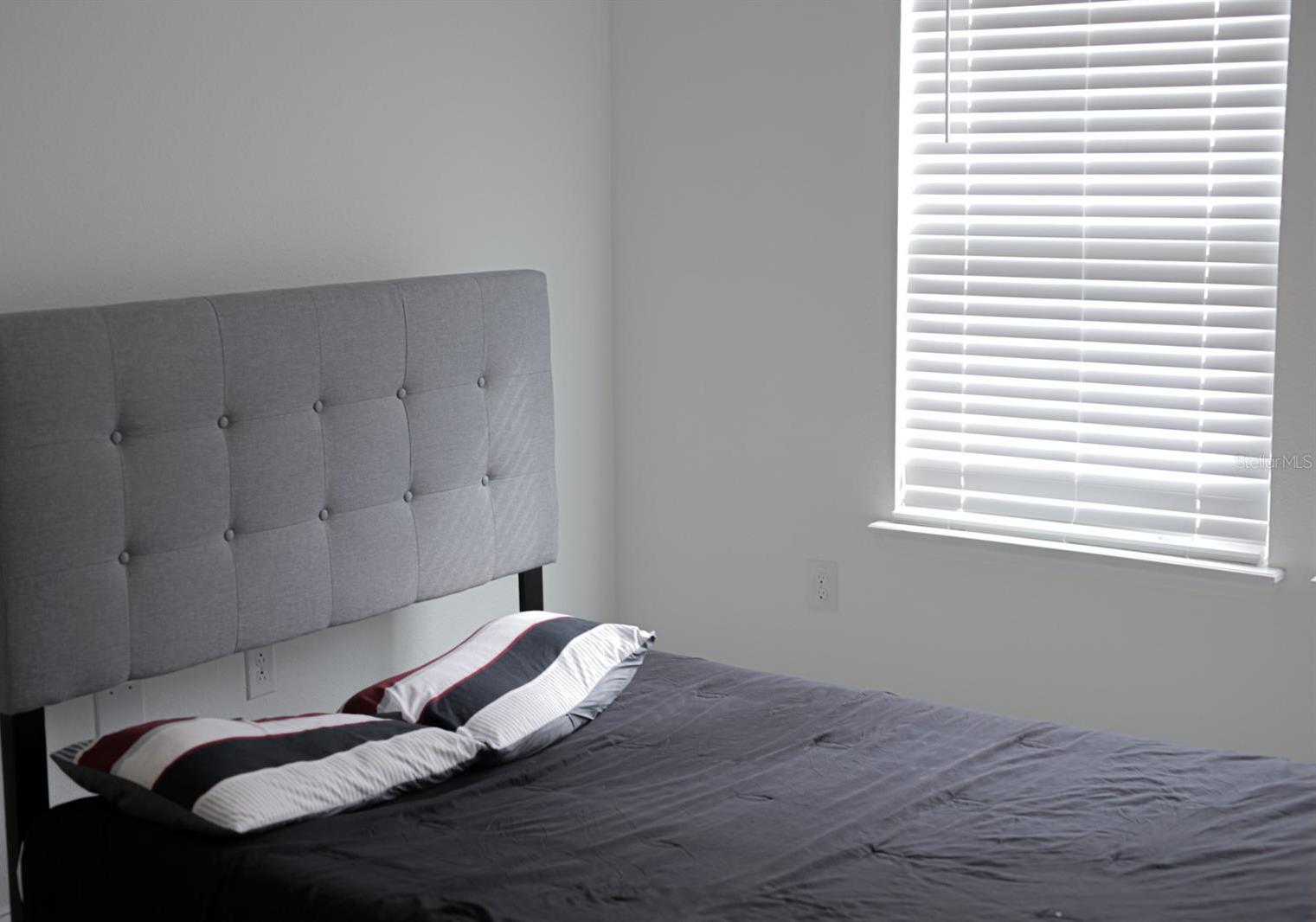 Photo #16