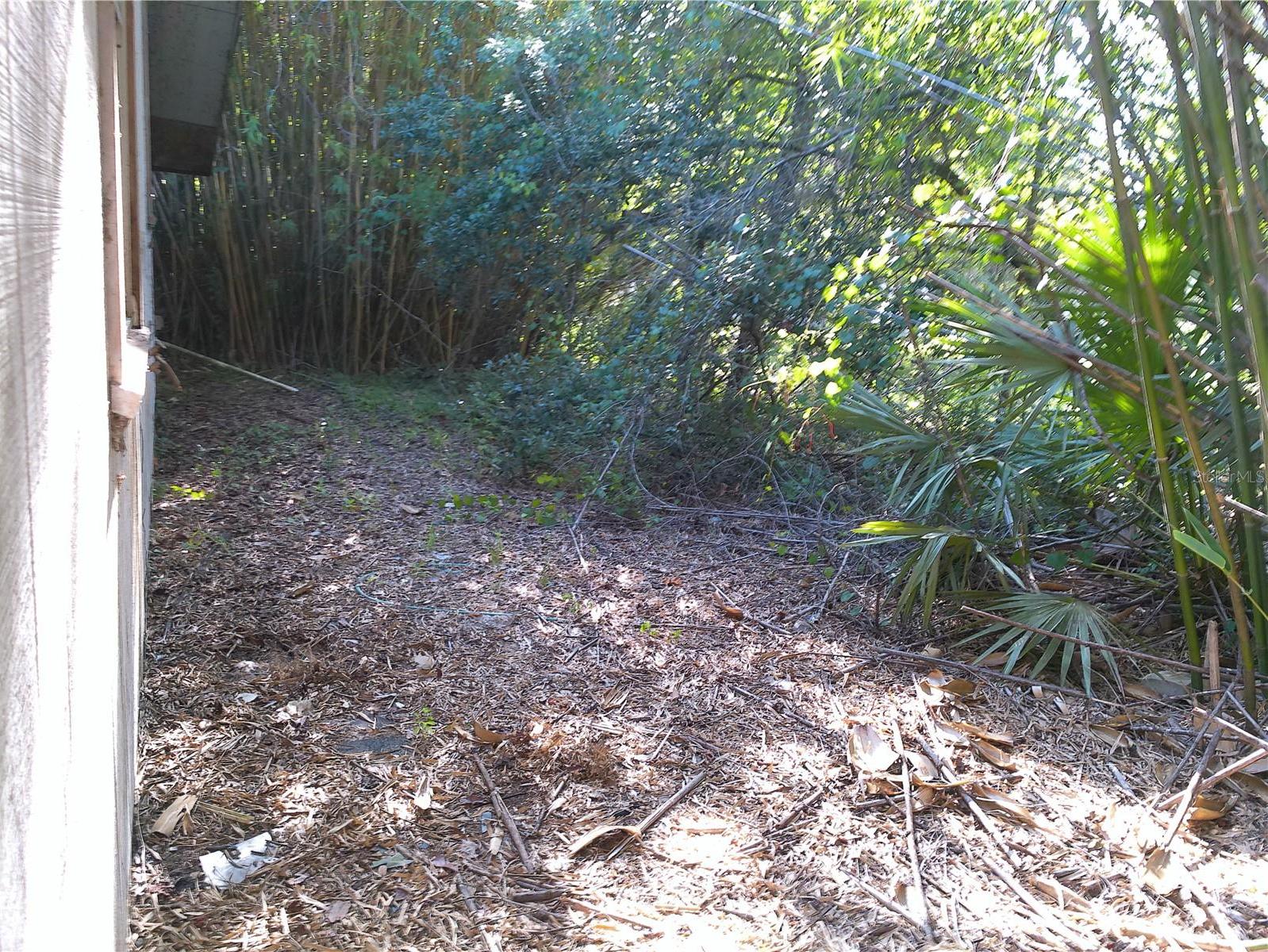 Photo #8