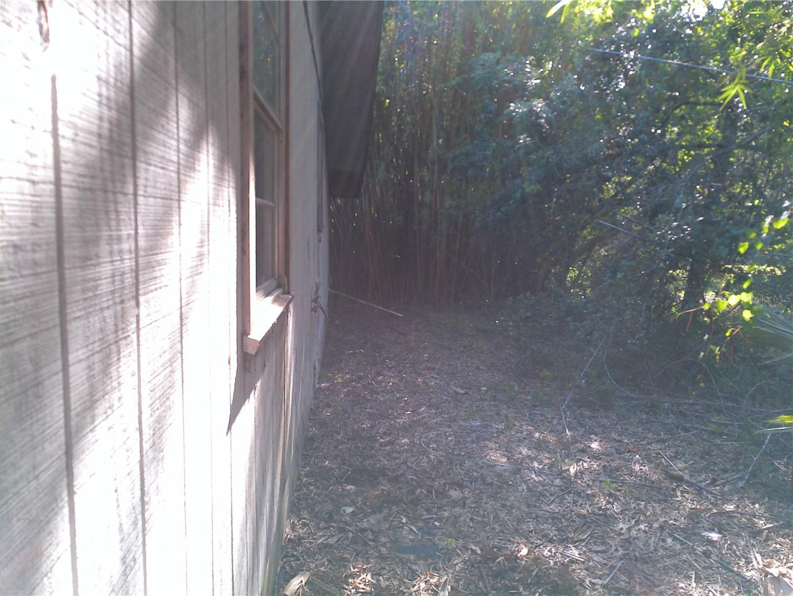 Photo #7